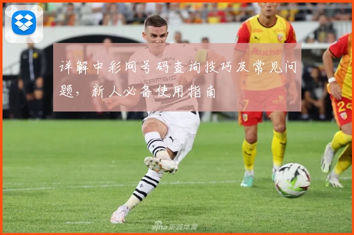 详解中彩网号码查询技巧及常见问题，新人必备使用指南
