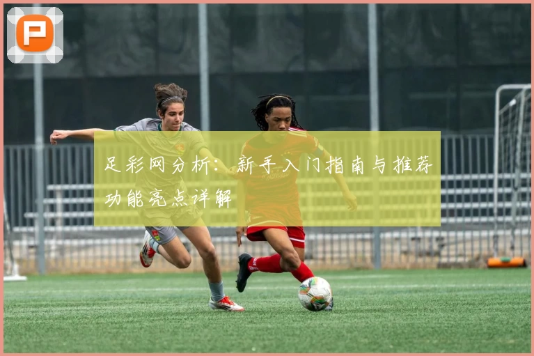 足彩网分析：新手入门指南与推荐功能亮点详解