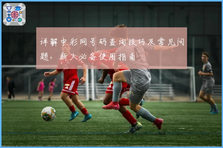 详解中彩网号码查询技巧及常见问题，新人必备使用指南