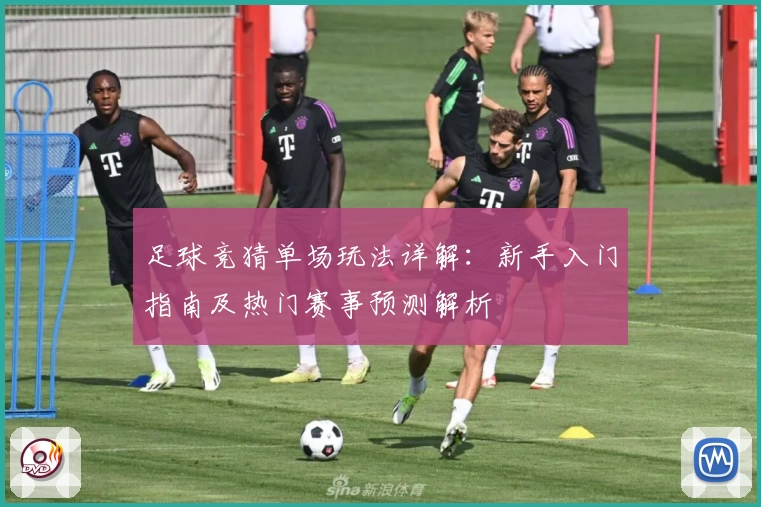 足球竞猜单场玩法详解：新手入门指南及热门赛事预测解析