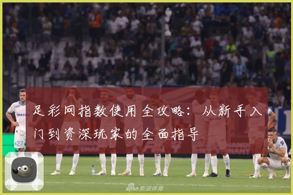 足彩网指数使用全攻略：从新手入门到资深玩家的全面指导