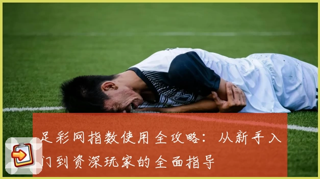 足彩网指数使用全攻略：从新手入门到资深玩家的全面指导