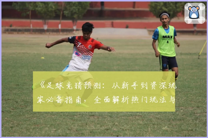 《足球竞猜预测：从新手到资深玩家必备指南，全面解析热门玩法与专业技巧》