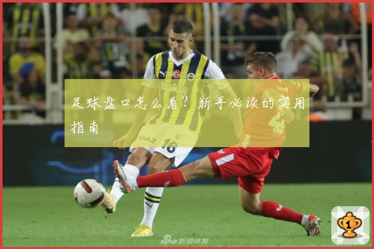 足球盘口怎么看？新手必读的实用指南