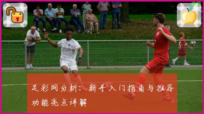 足彩网分析：新手入门指南与推荐功能亮点详解