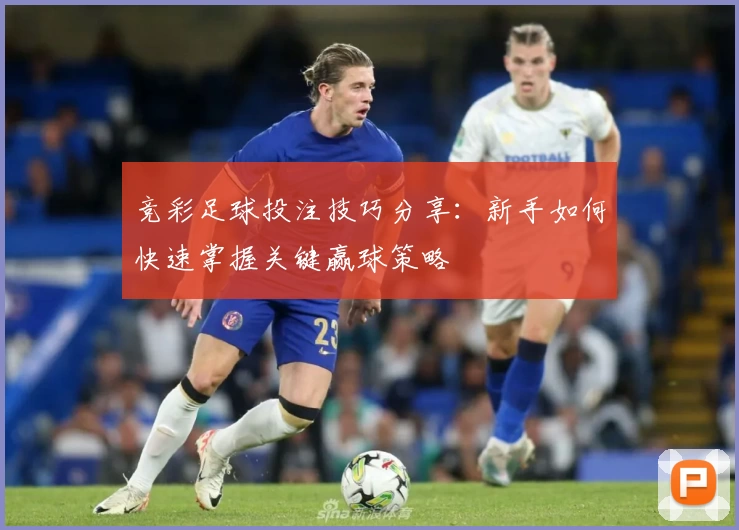 竞彩足球投注技巧分享：新手如何快速掌握关键赢球策略